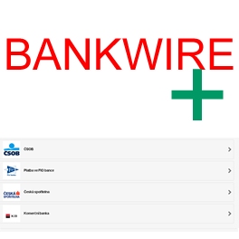 Bankwire PLUS